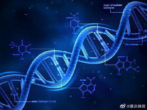 科技之光 環境科技如何重塑美容行業的未來